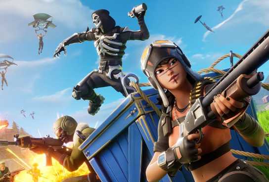 Fortnite fans are unhappy with the Best in Show bundle.